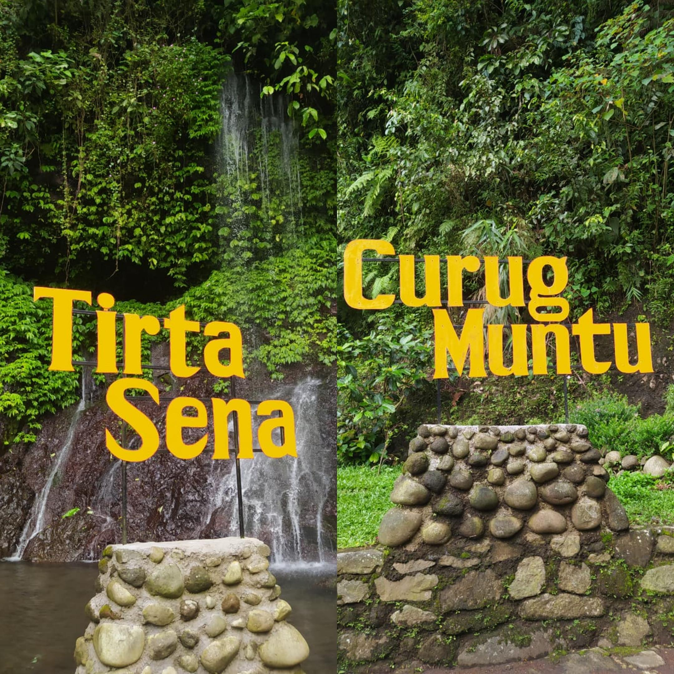 Curug Tirta Sena dan Curug Muntu: Keindahan Tersembunyi di Jalur HikingDesa Ketenger, Baturaden