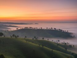 11 Hidden Gem Instagramable di KarangJambu