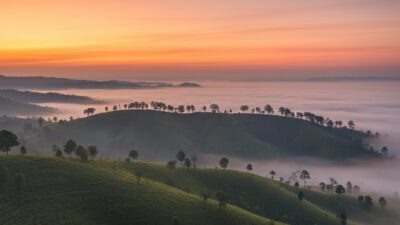 11 Hidden Gem Instagramable di KarangJambu