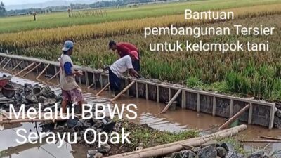 pembangunan saluran irigasi tersier bantuan INPRES