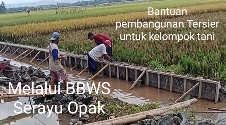 pembangunan saluran irigasi tersier bantuan INPRES